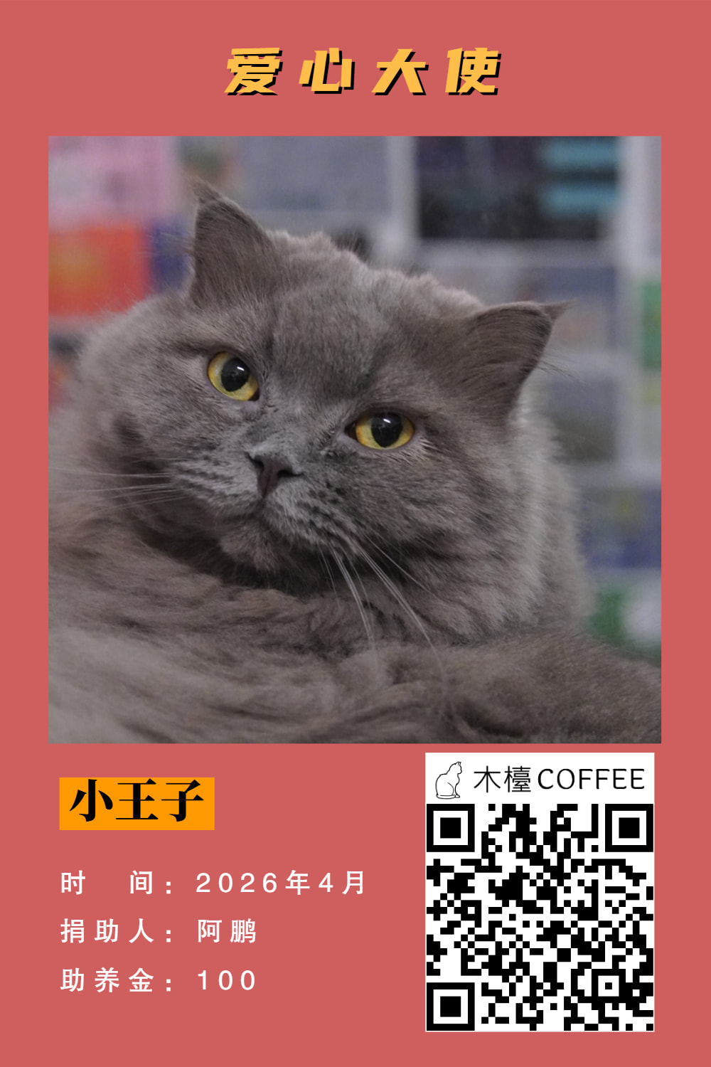小王子 助养记录
