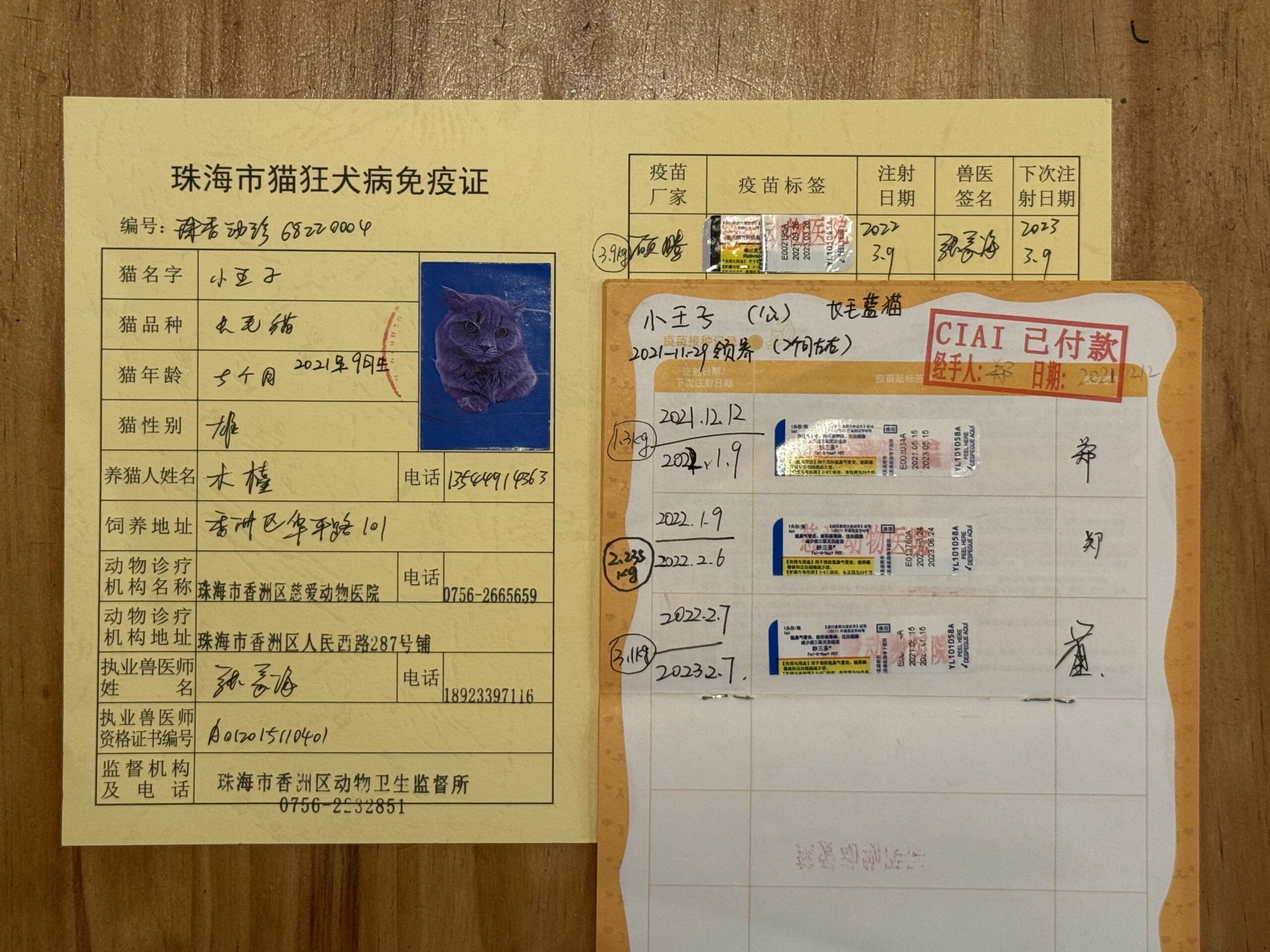 小王子 疫苗证