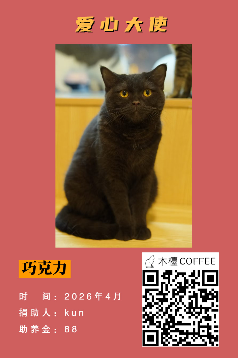 巧克力 助养记录