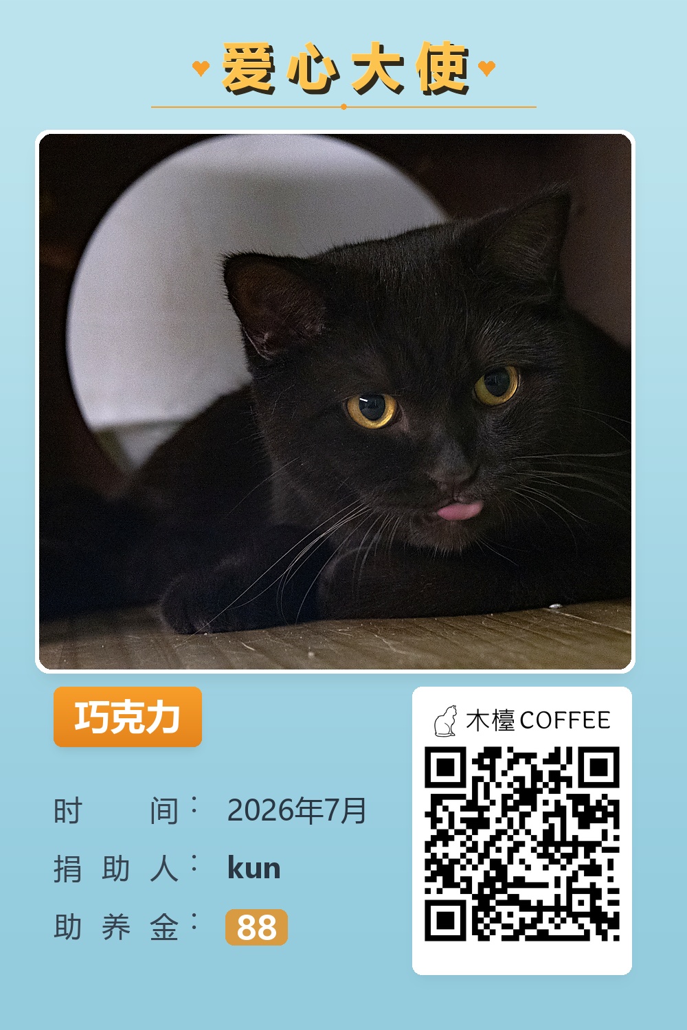 巧克力 助养记录