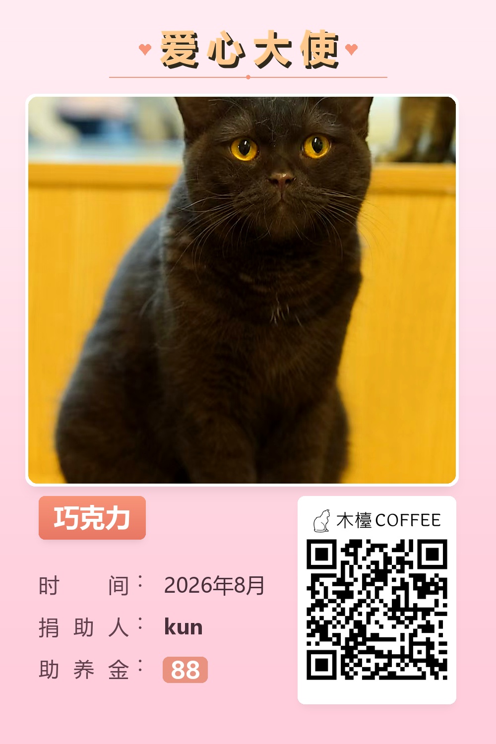 巧克力 助养记录