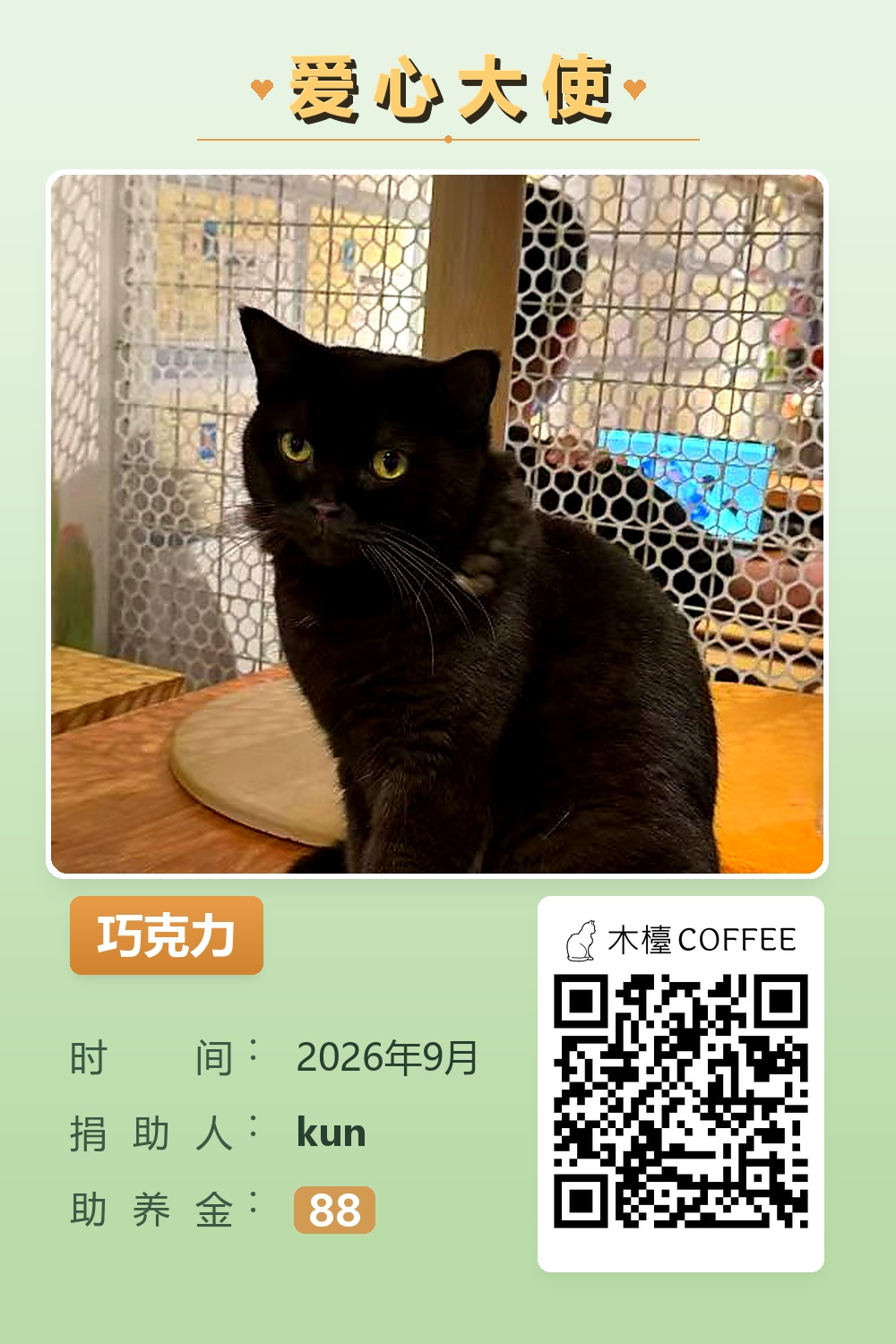 巧克力 助养记录