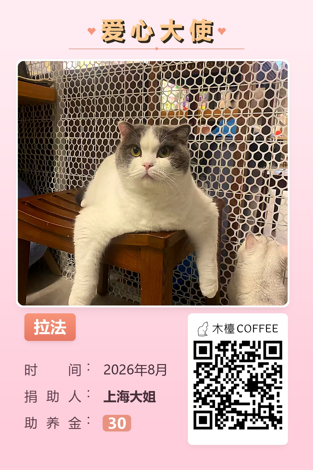 拉法 助养记录