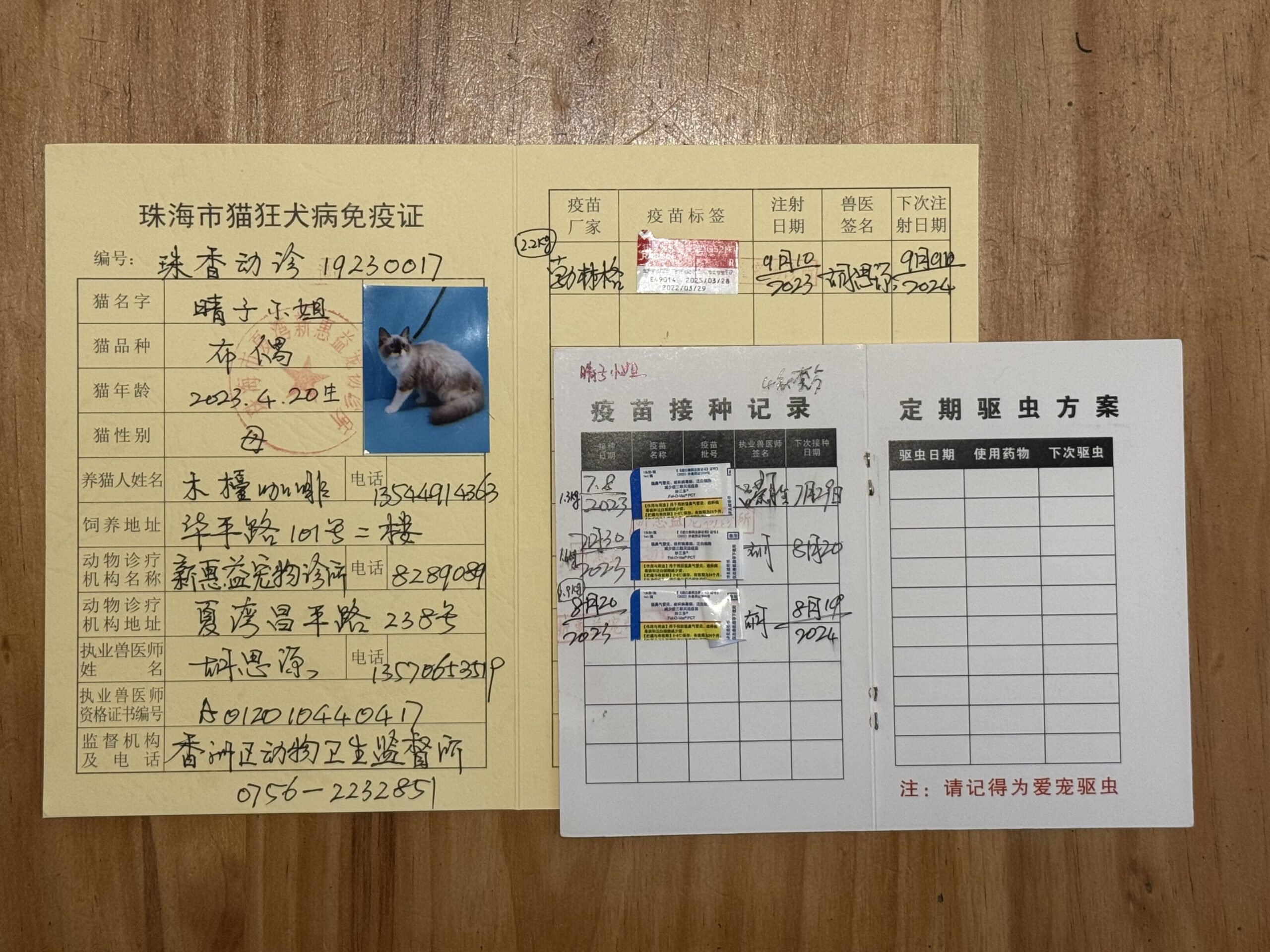 晴子小姐 疫苗证