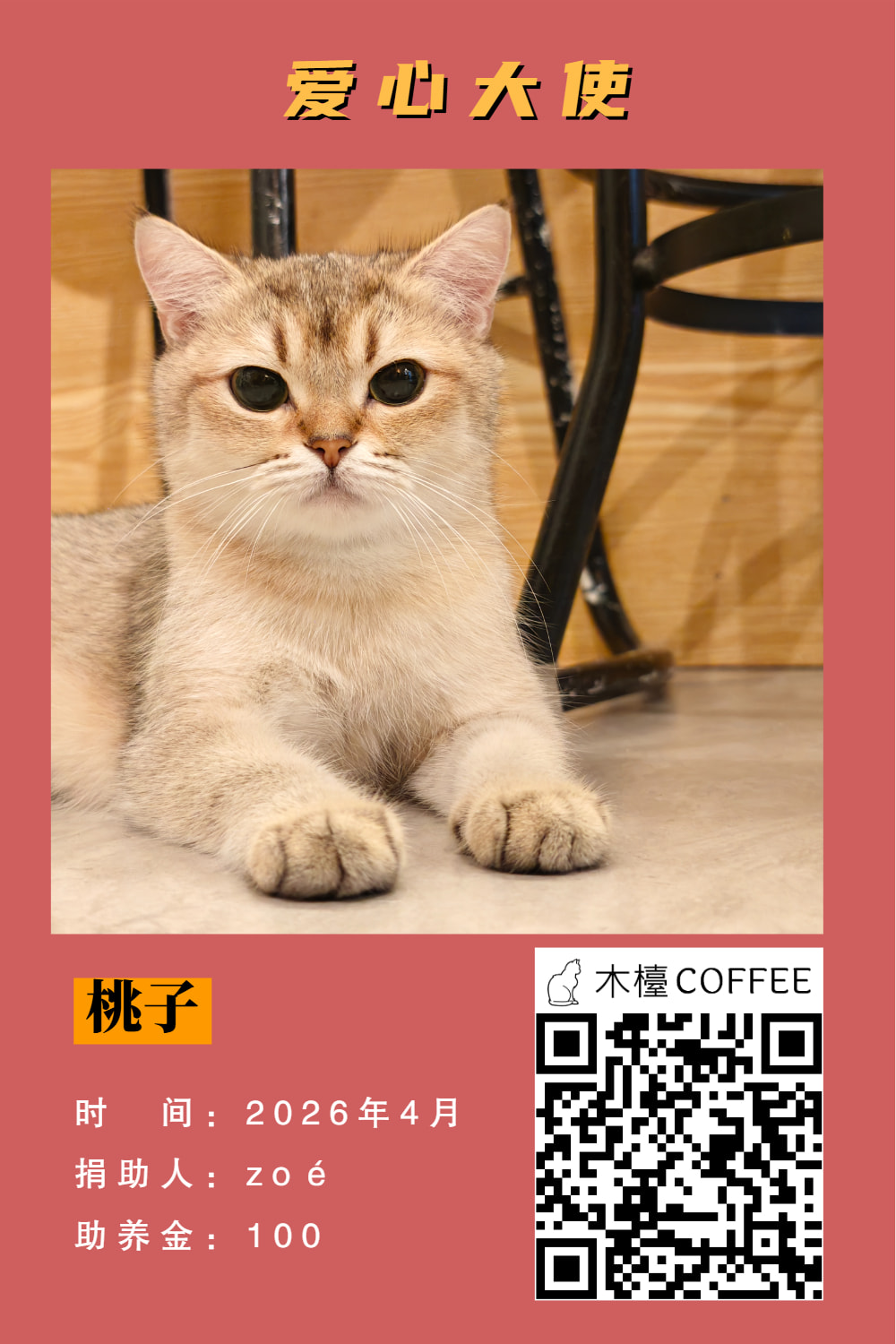 桃子 助养记录