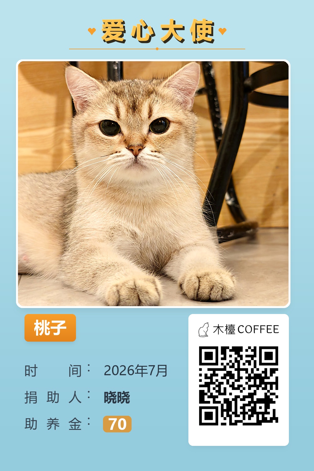 桃子 助养记录