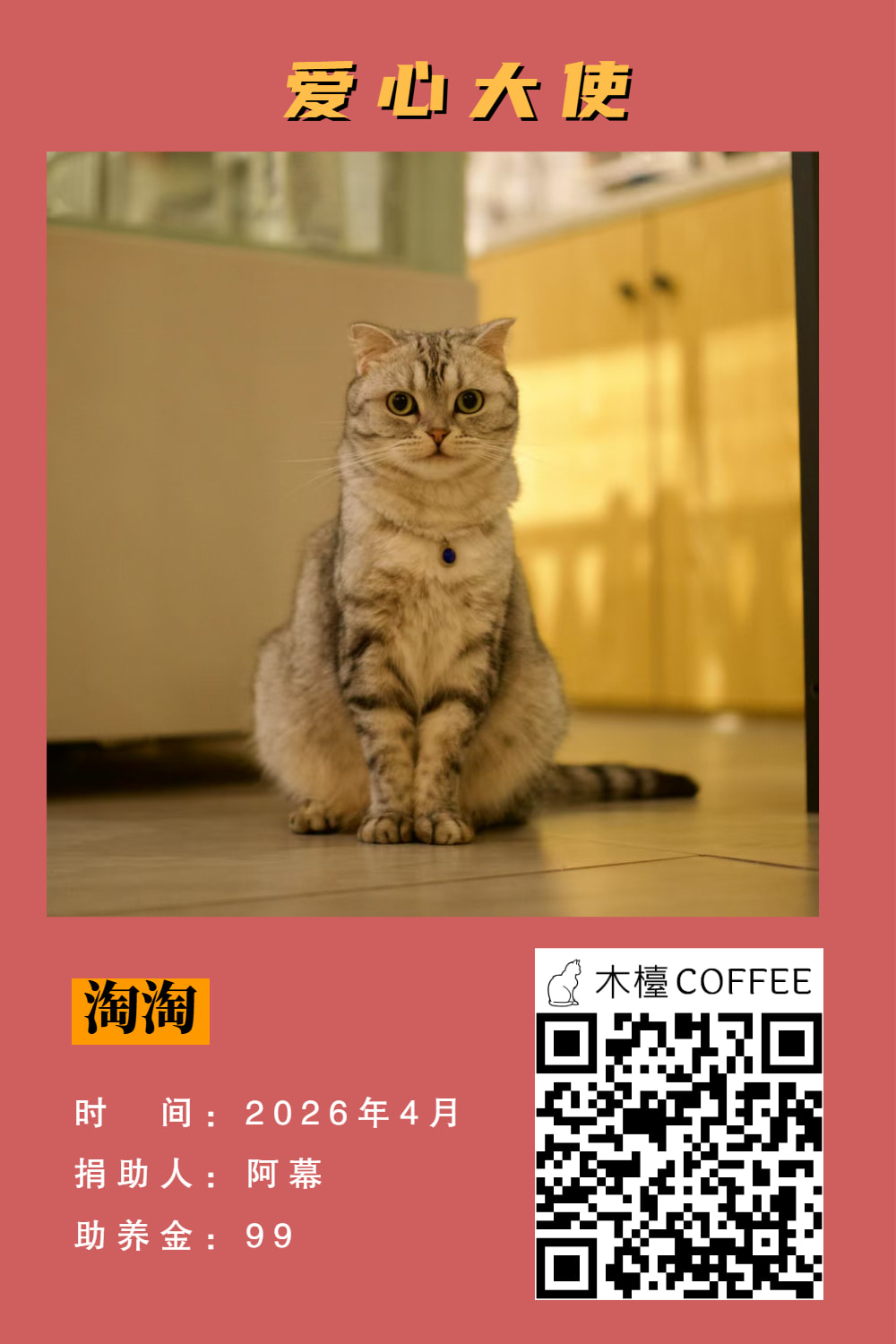 淘淘 助养记录