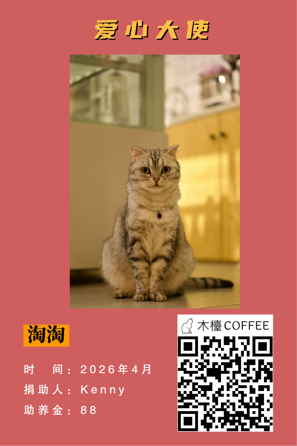 淘淘 助养记录