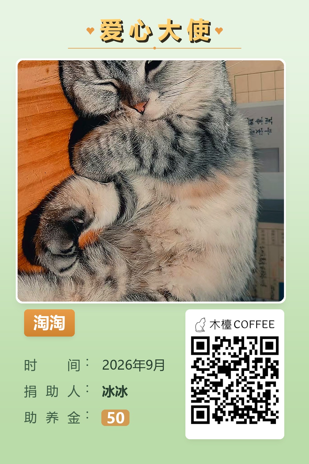 淘淘 助养记录