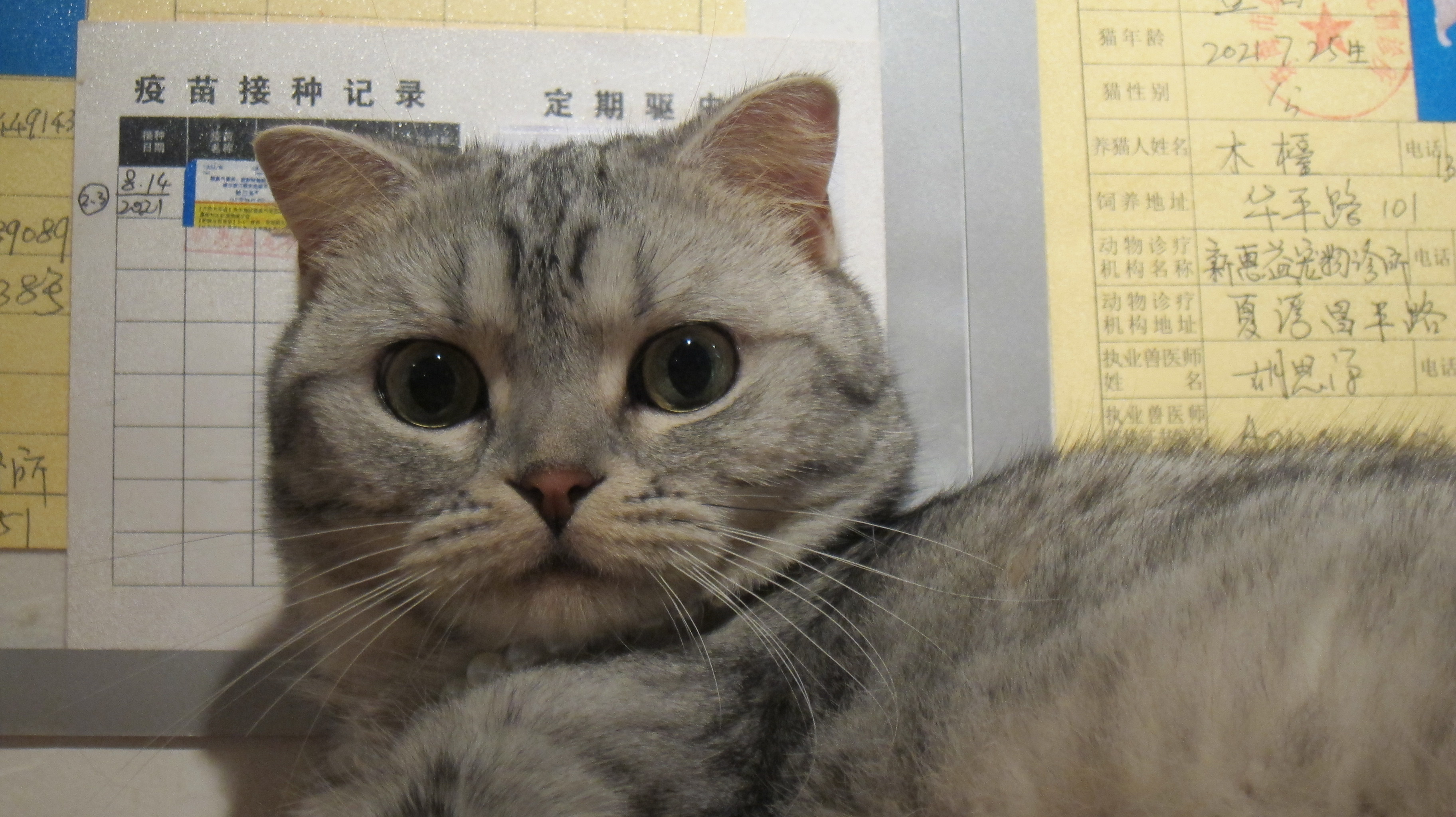 淘淘 相册