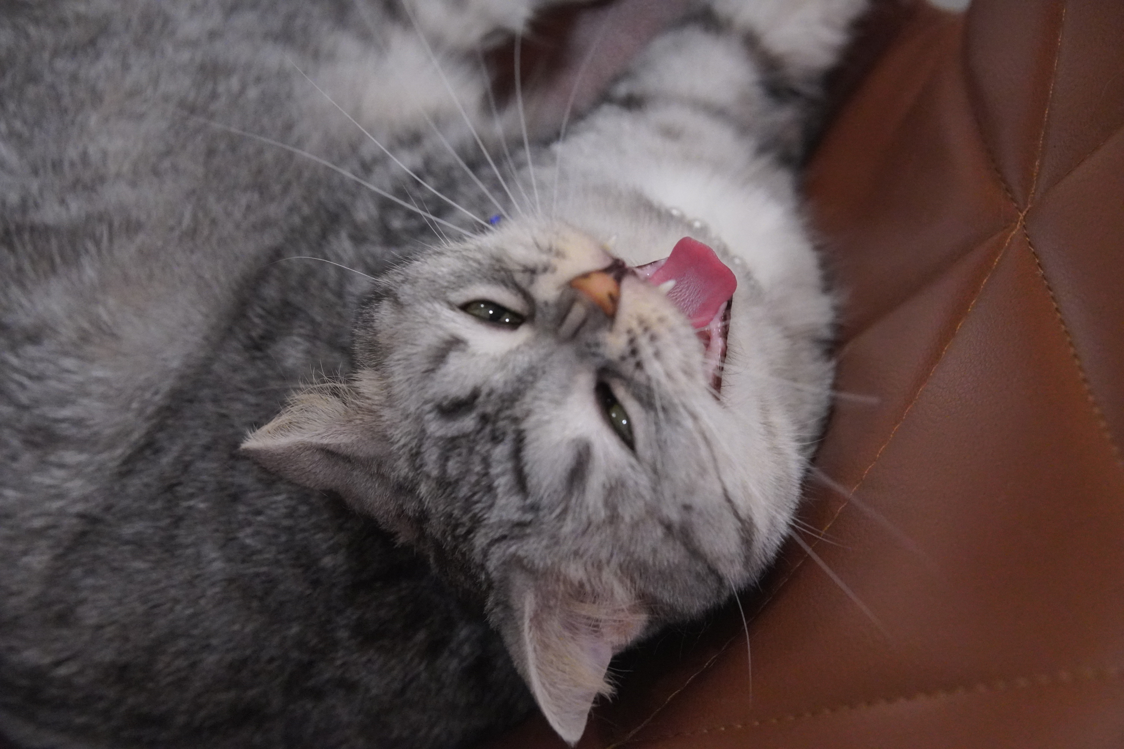淘淘 相册