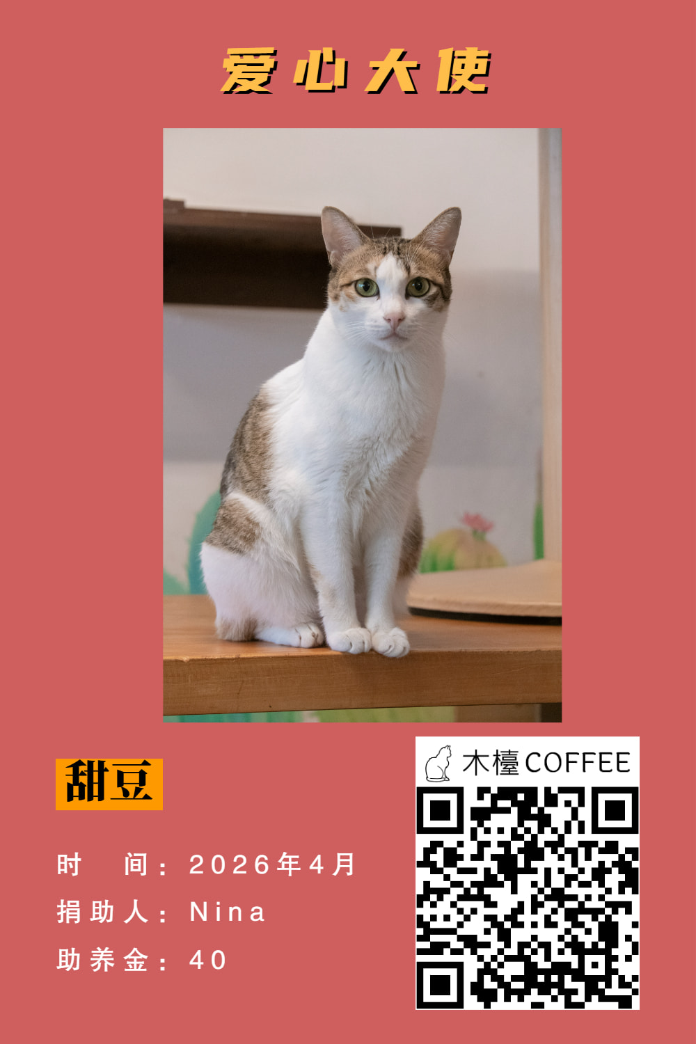 甜豆 助养记录