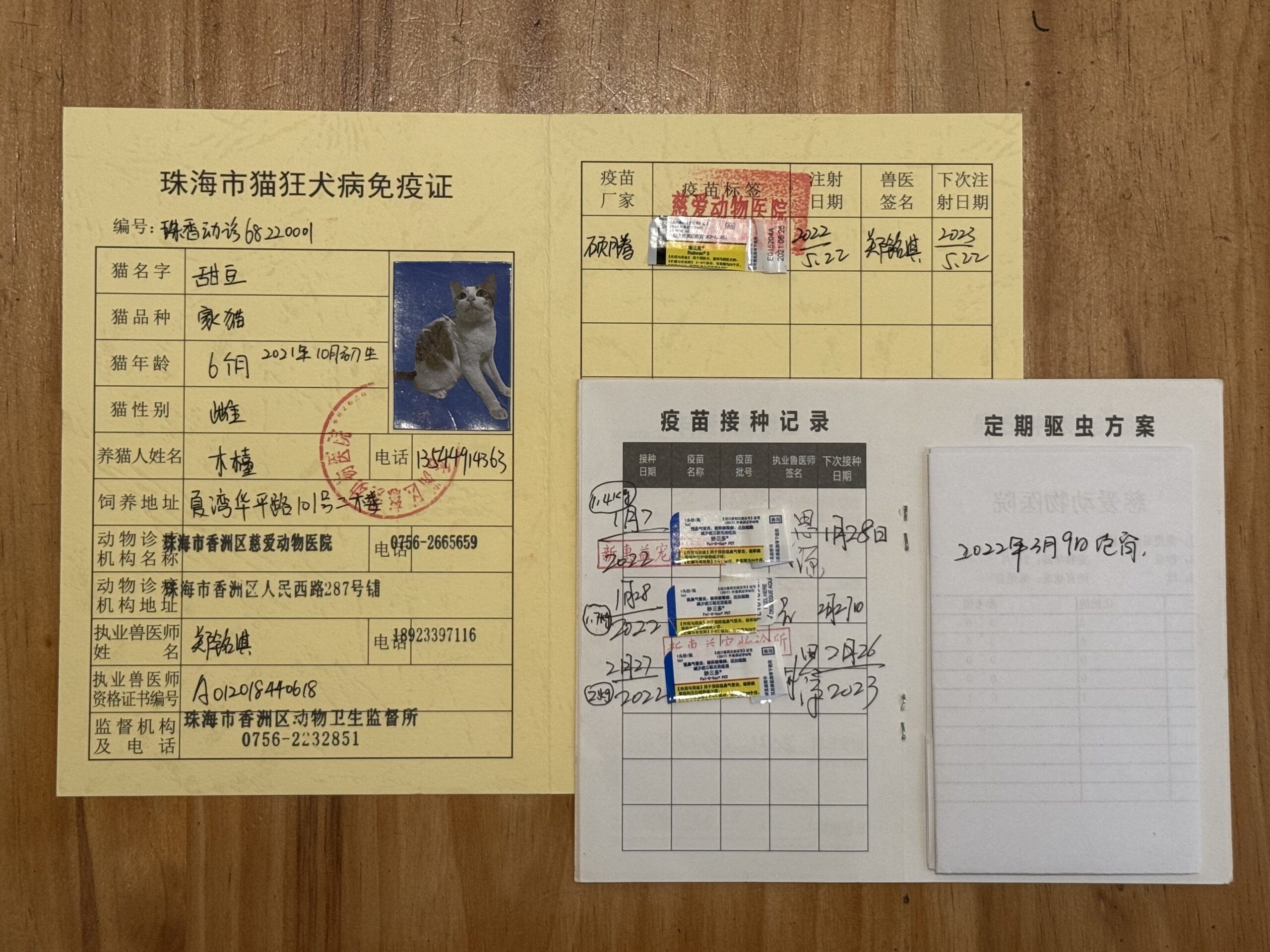 甜豆 疫苗证