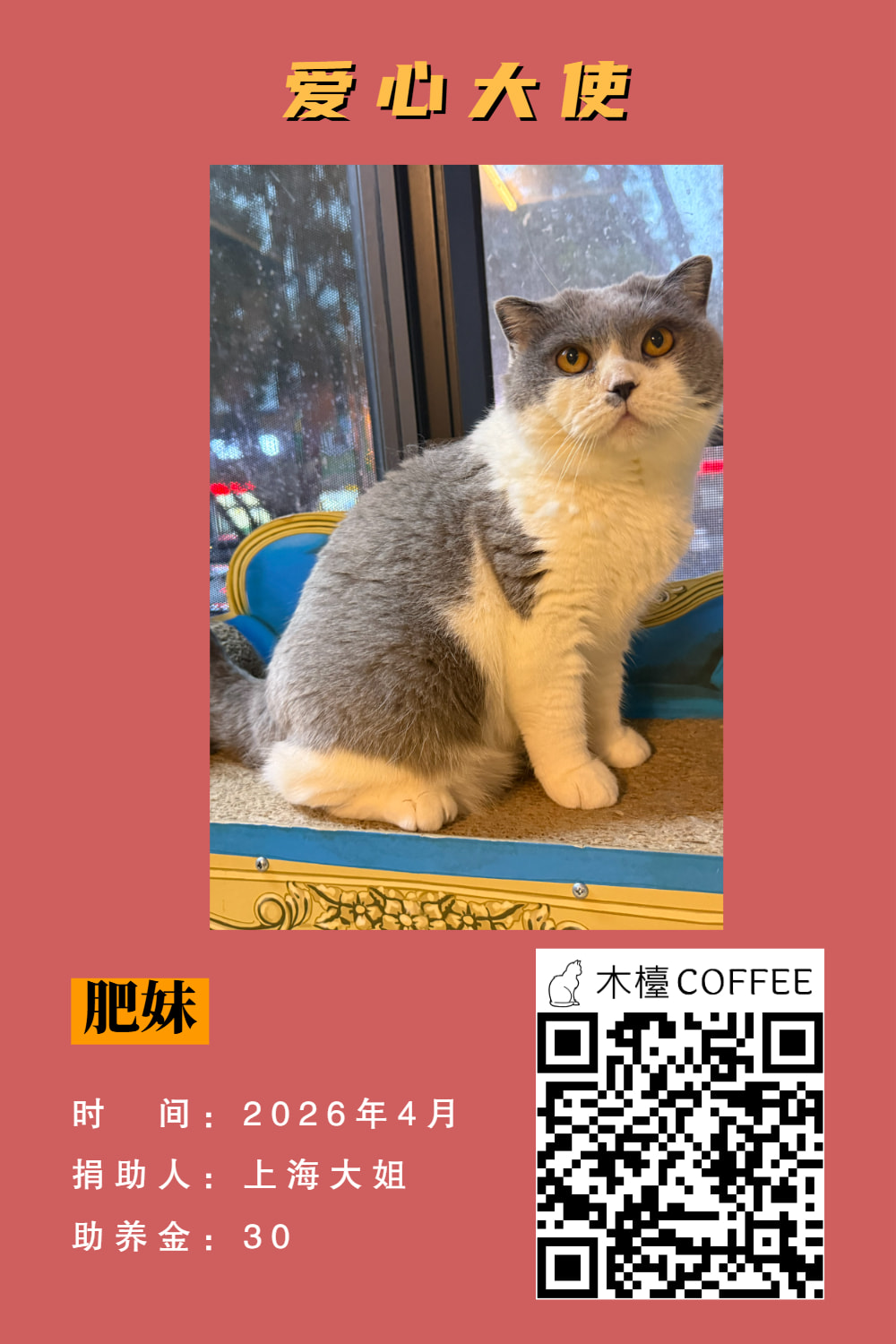 肥妹 助养记录