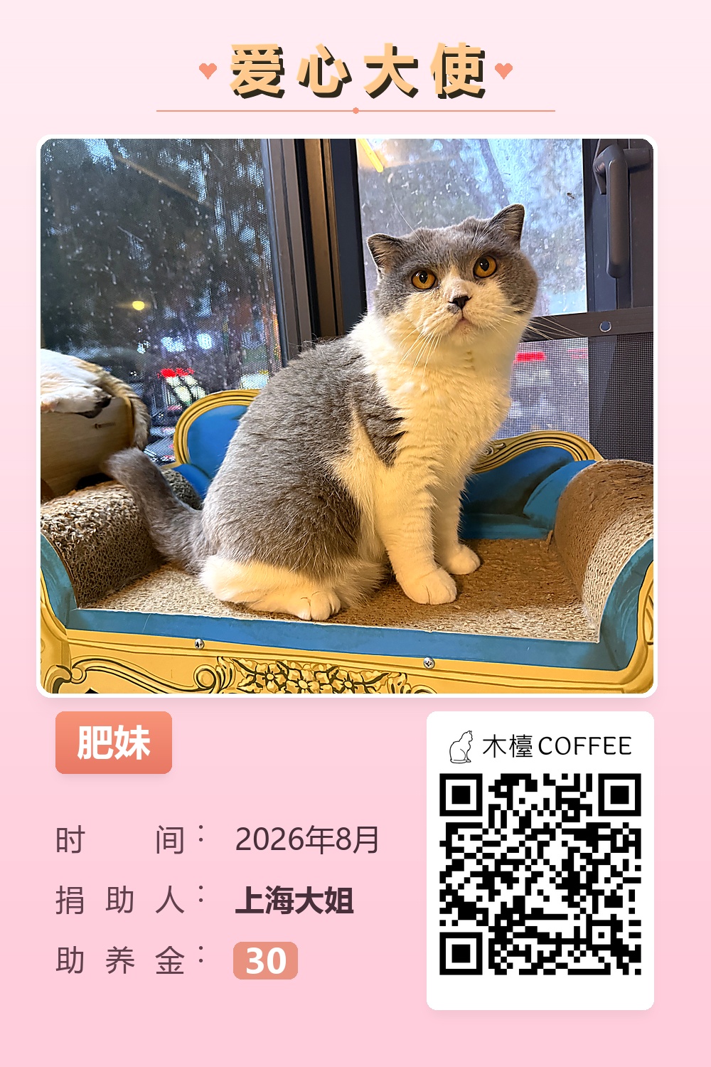 肥妹 助养记录