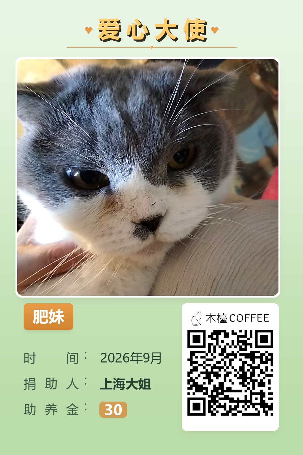 肥妹 助养记录