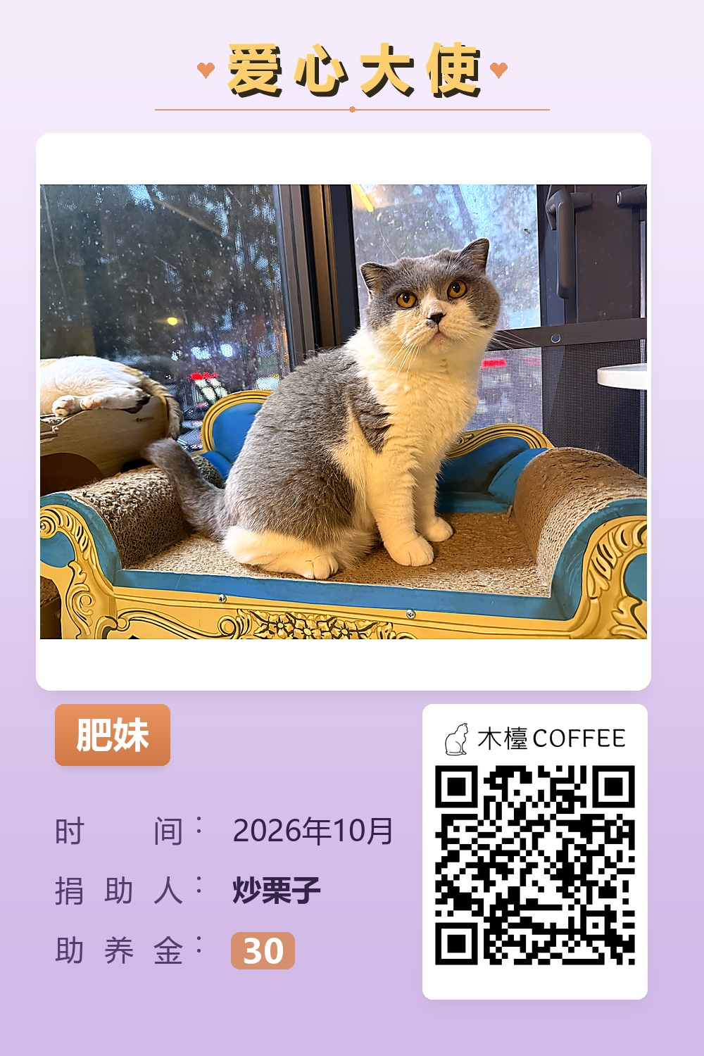 肥妹 助养记录