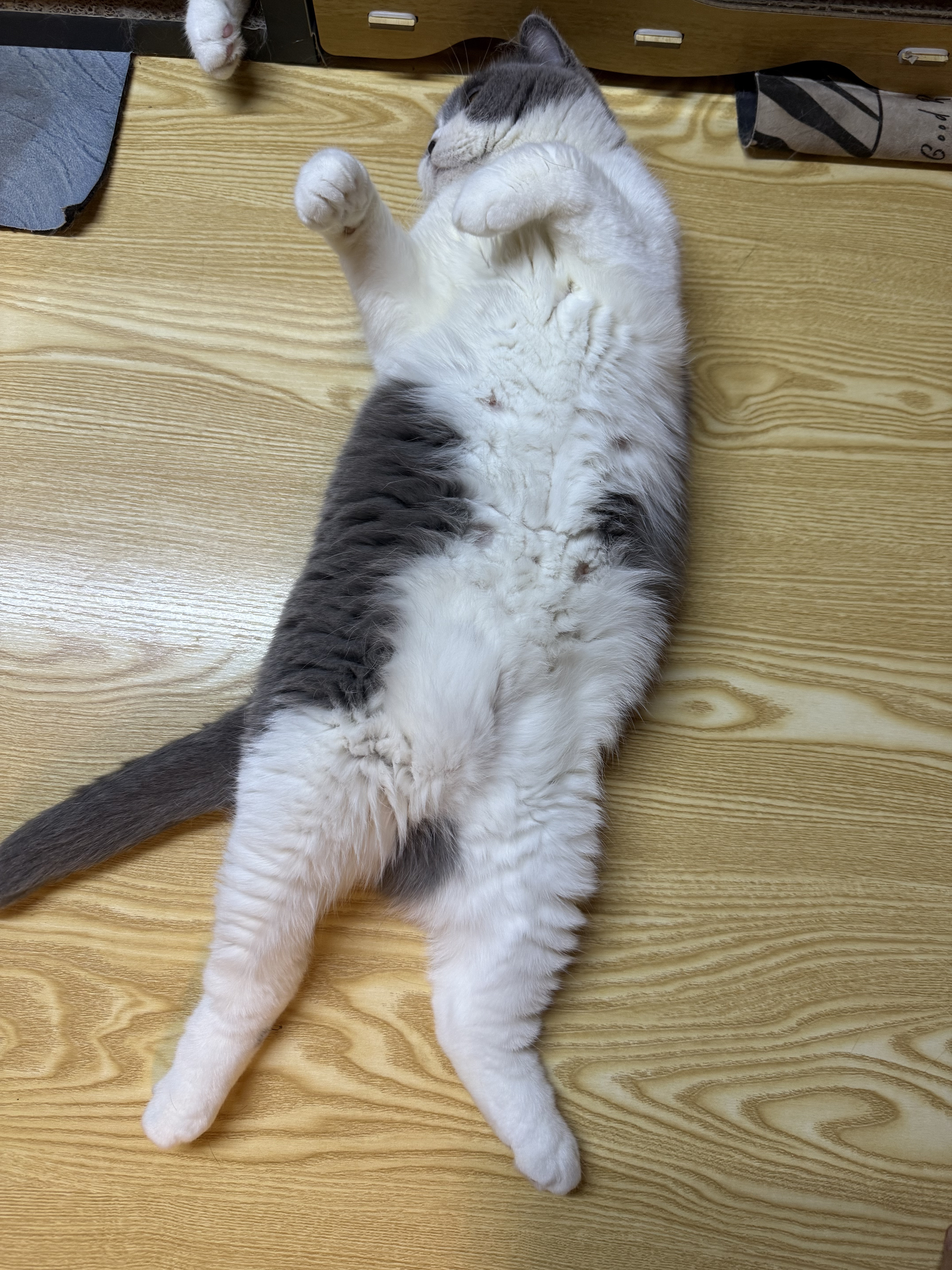 肥妹 相册