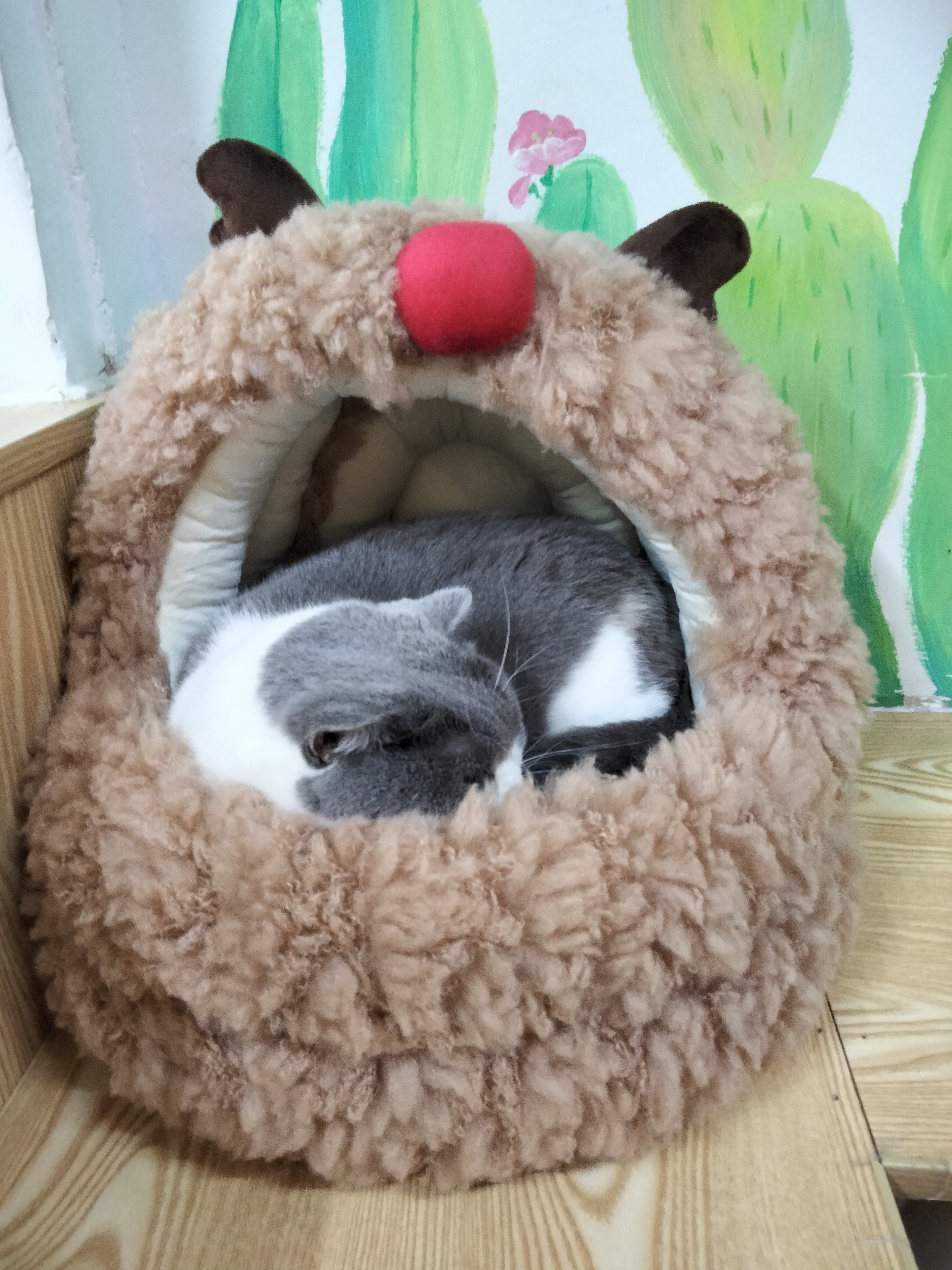 肥妹 相册