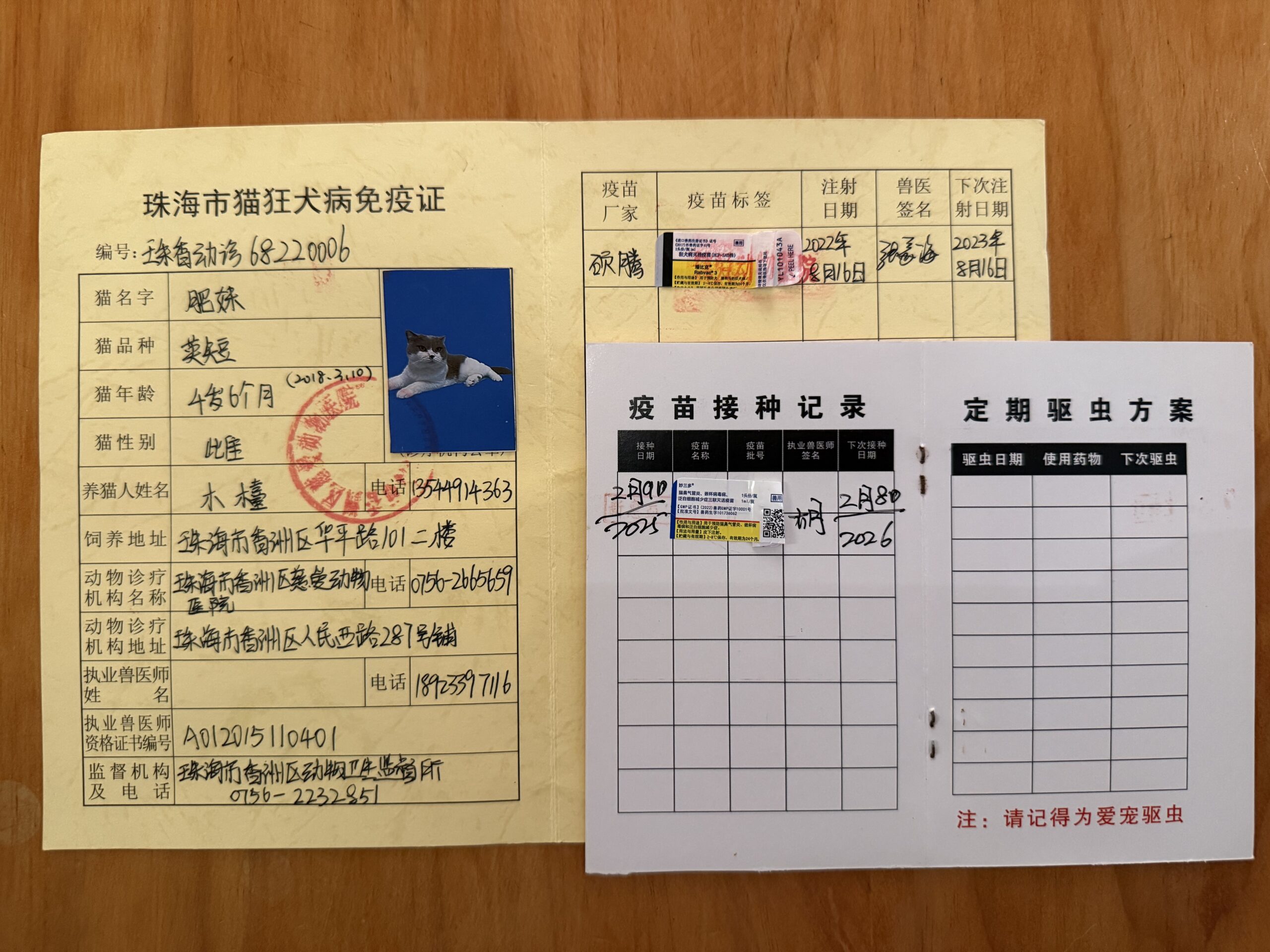 肥妹 疫苗证