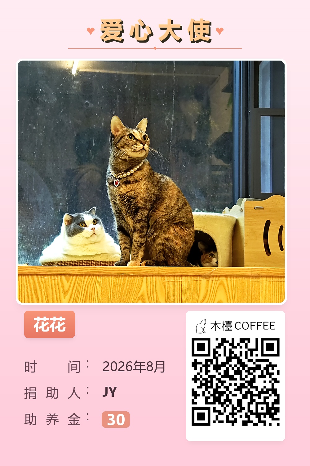 花花 助养记录
