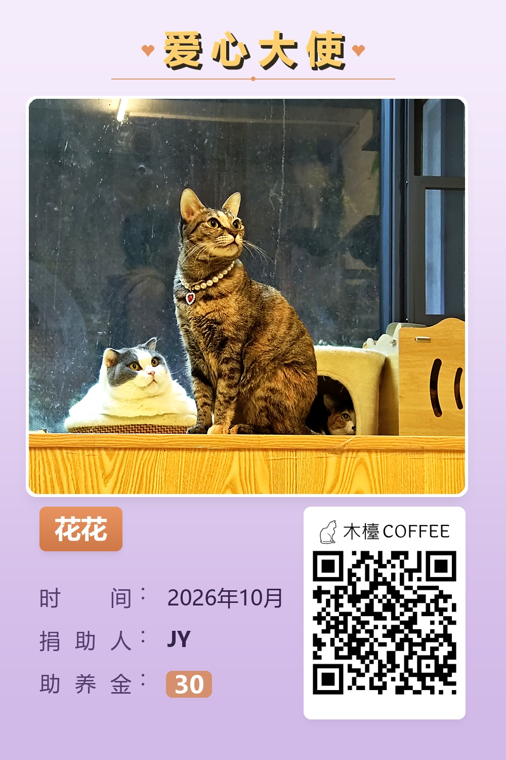 花花 助养记录