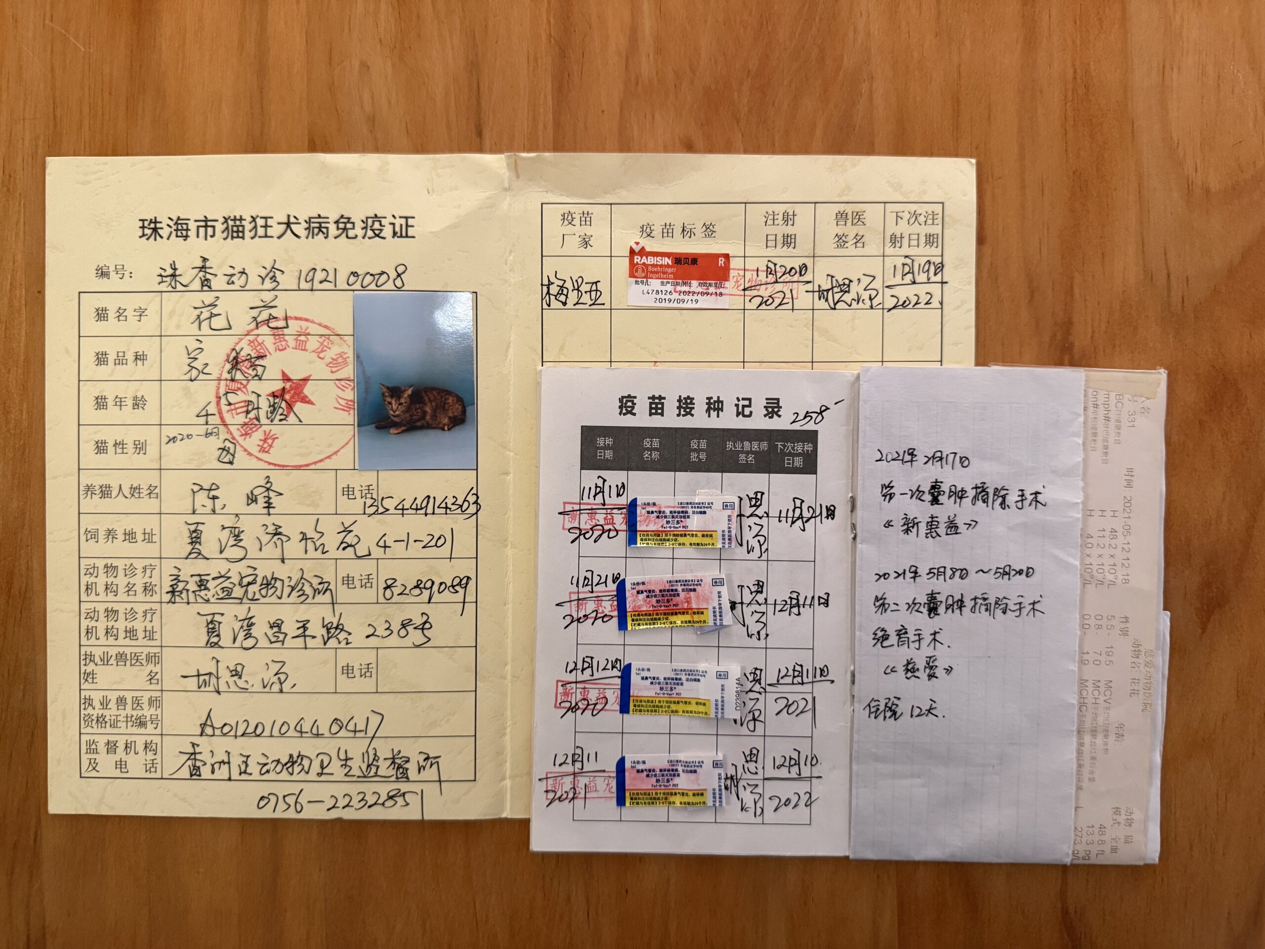 花花 疫苗证