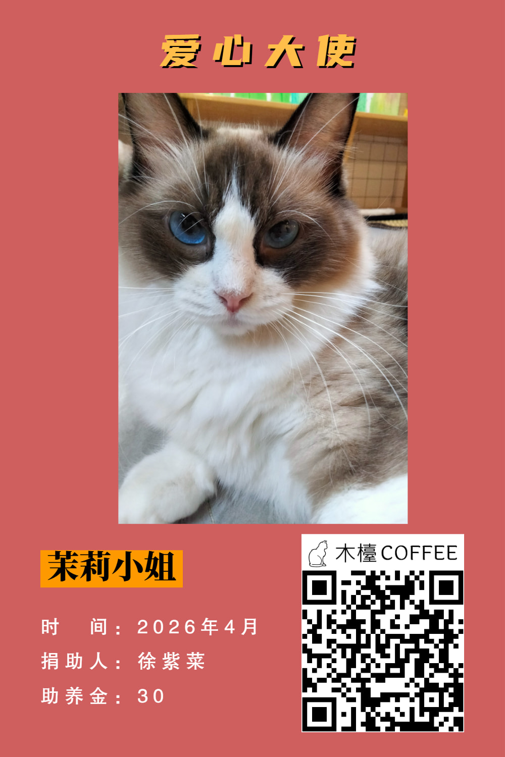 茉莉小姐 助养记录