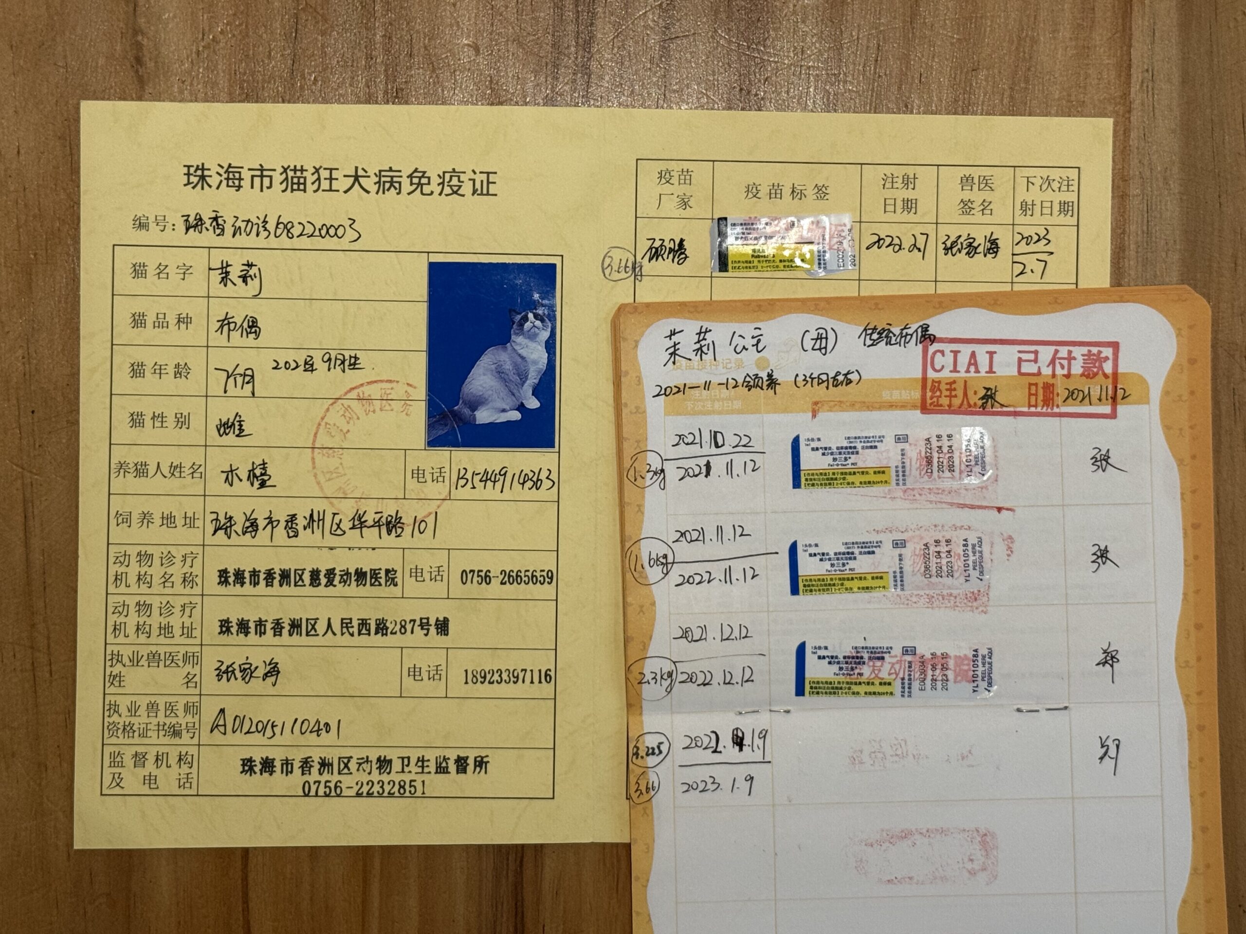 茉莉小姐 疫苗证