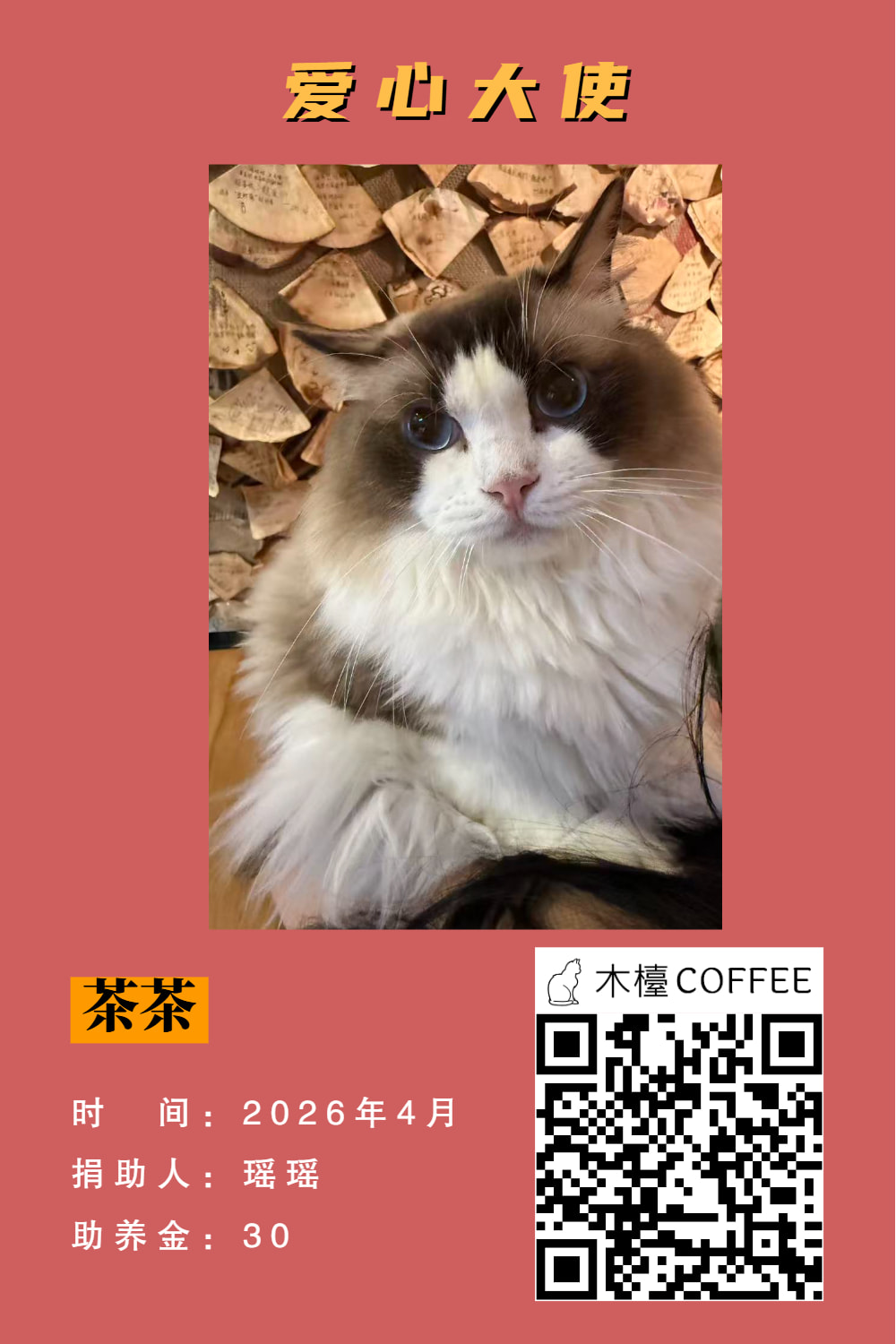 茶茶 助养记录