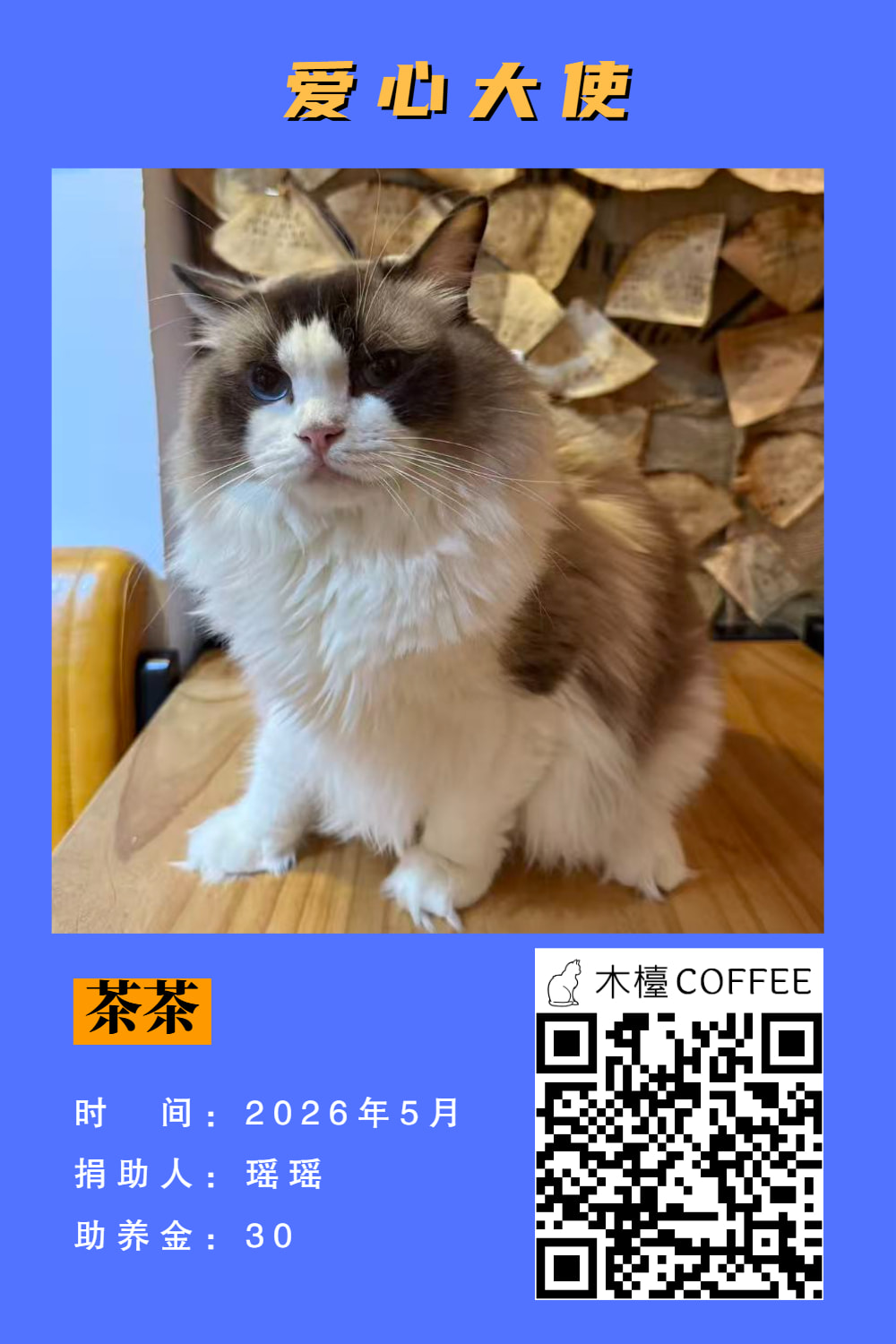 茶茶 助养记录