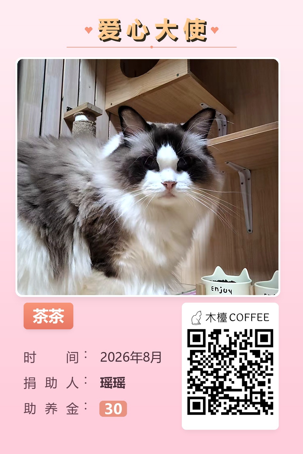 茶茶 助养记录