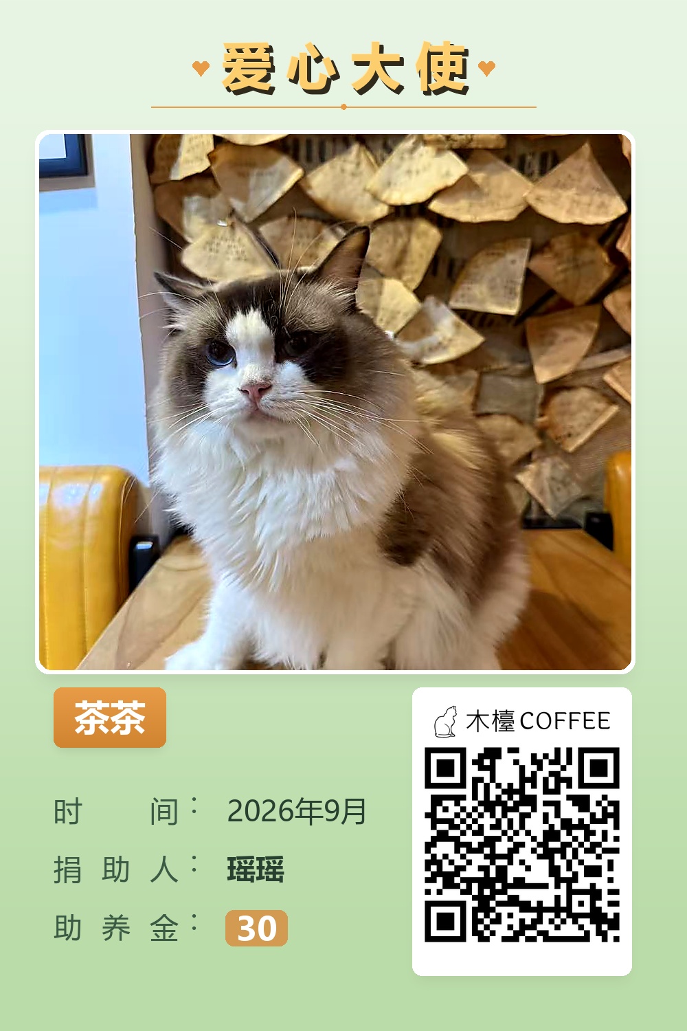 茶茶 助养记录