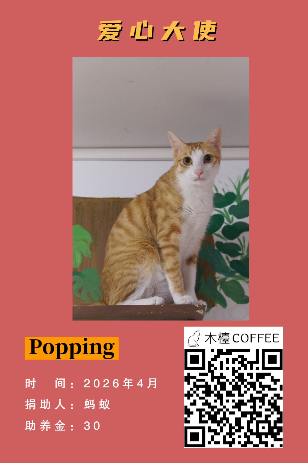 Popping 助养记录
