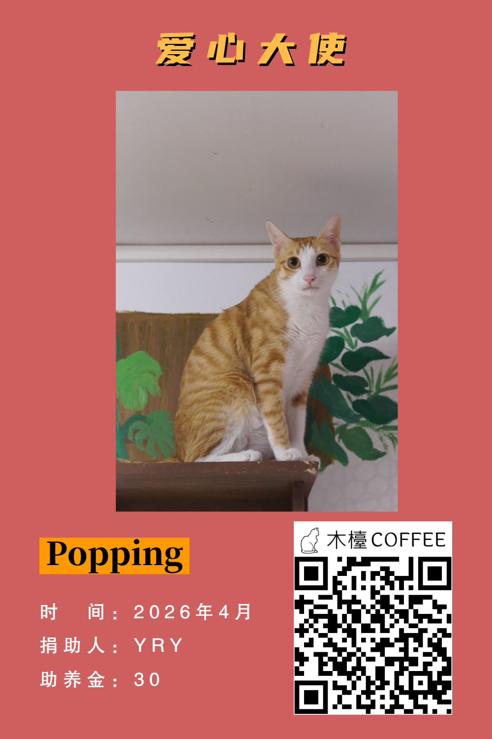 Popping 助养记录