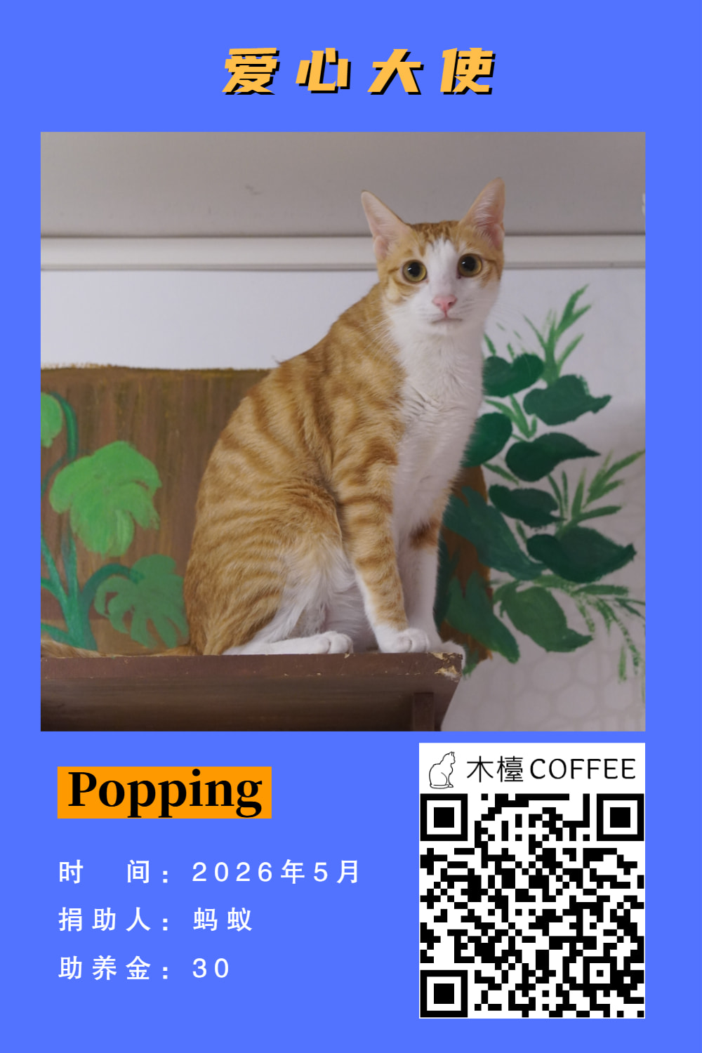 Popping 助养记录