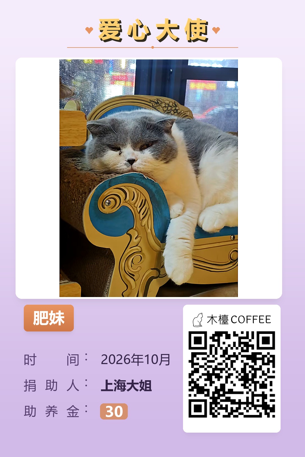 肥妹 上海大姐