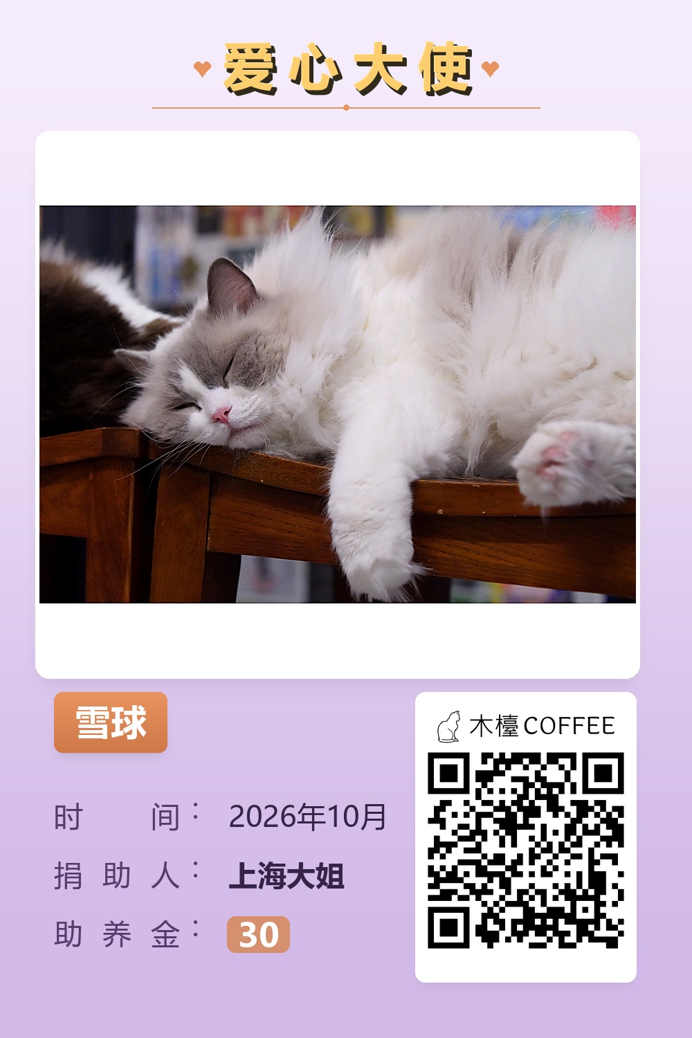 雪球 上海大姐