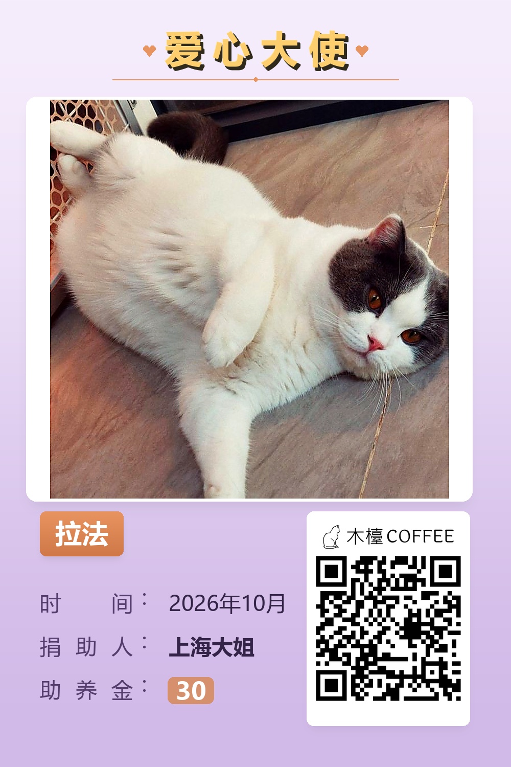 拉法 上海大姐