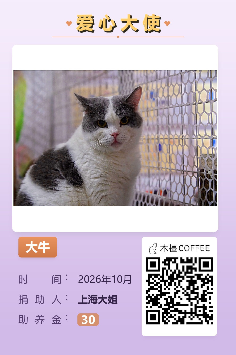 大牛 上海大姐