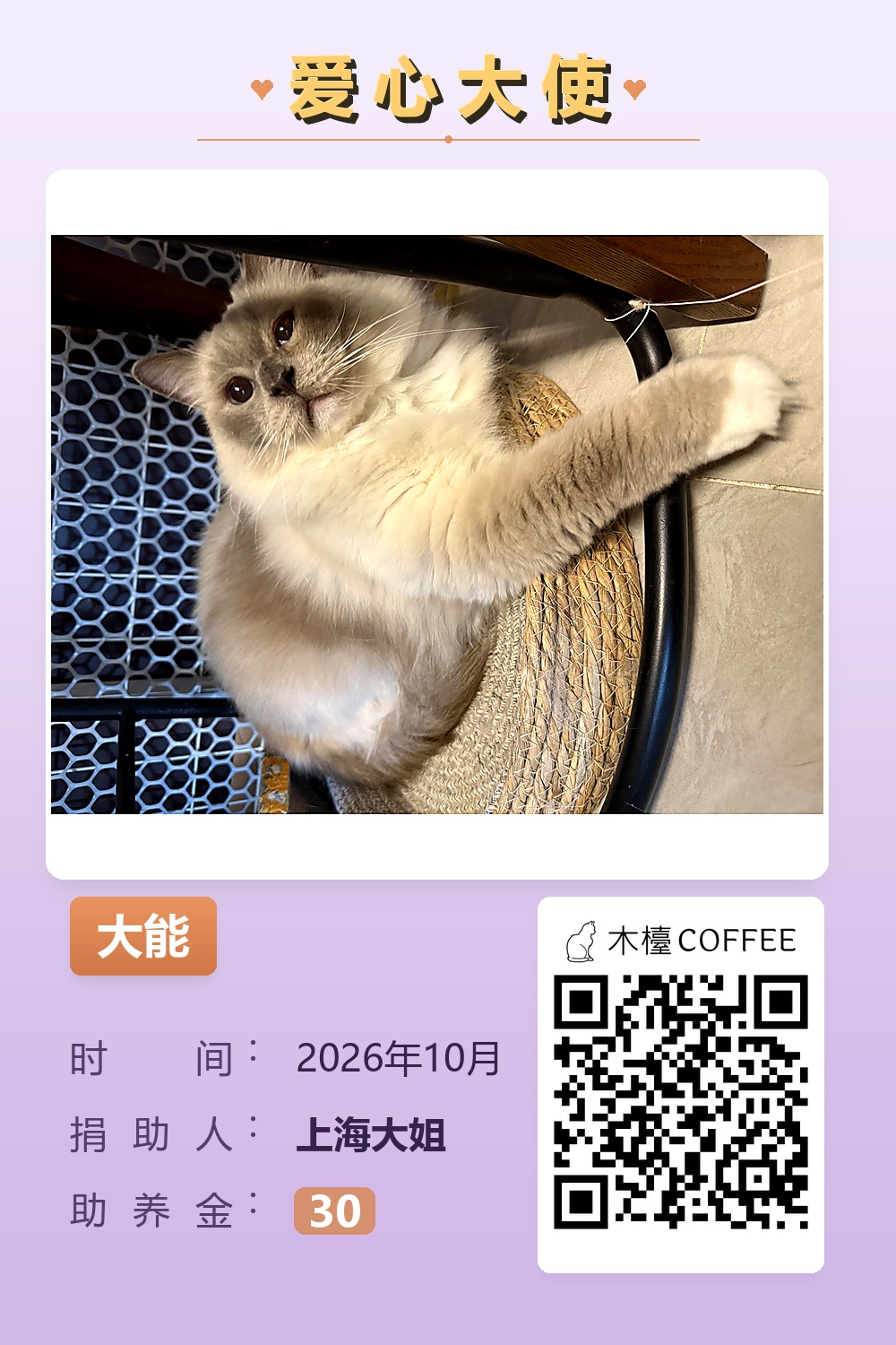 大能 上海大姐