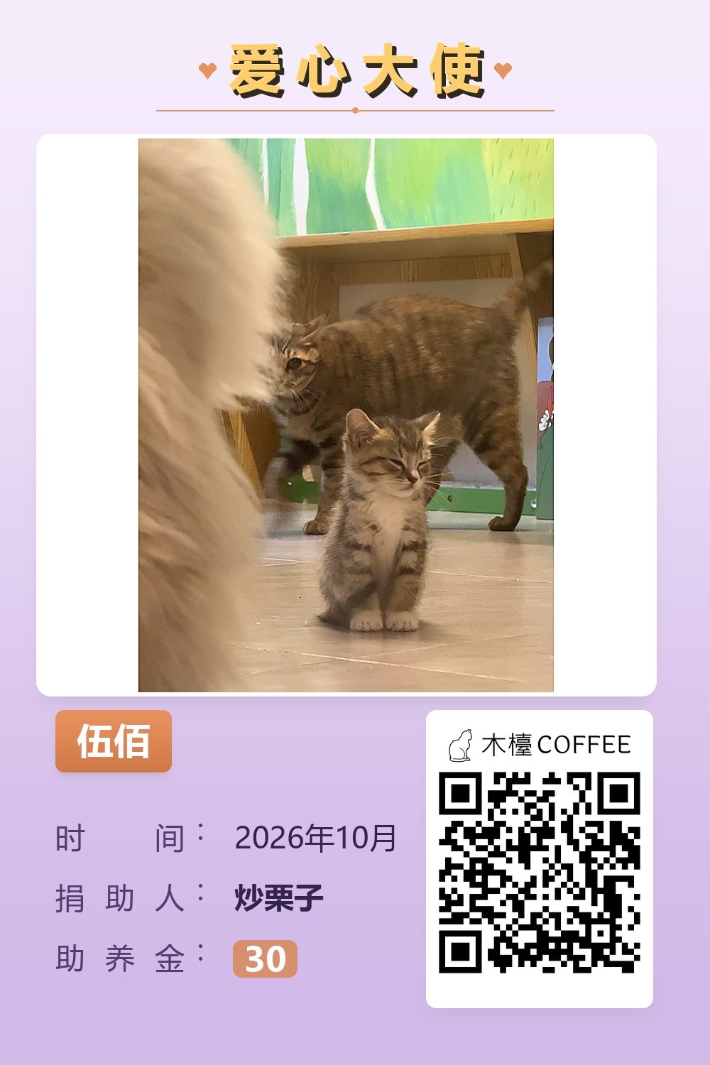 伍佰 炒栗子