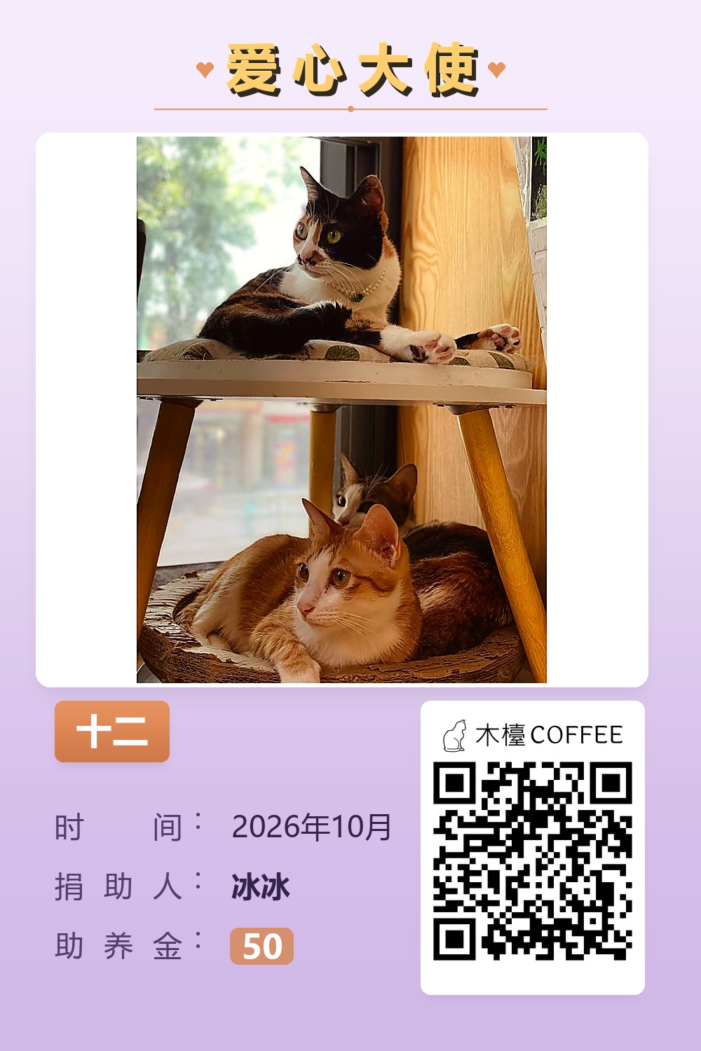 十二 冰冰