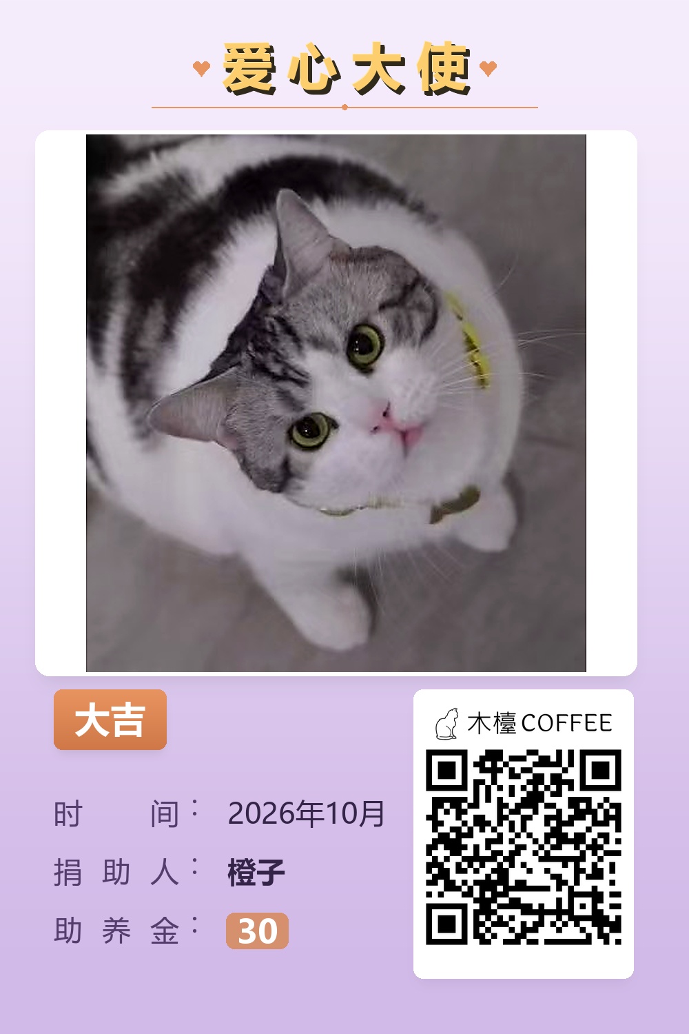 大吉 橙子