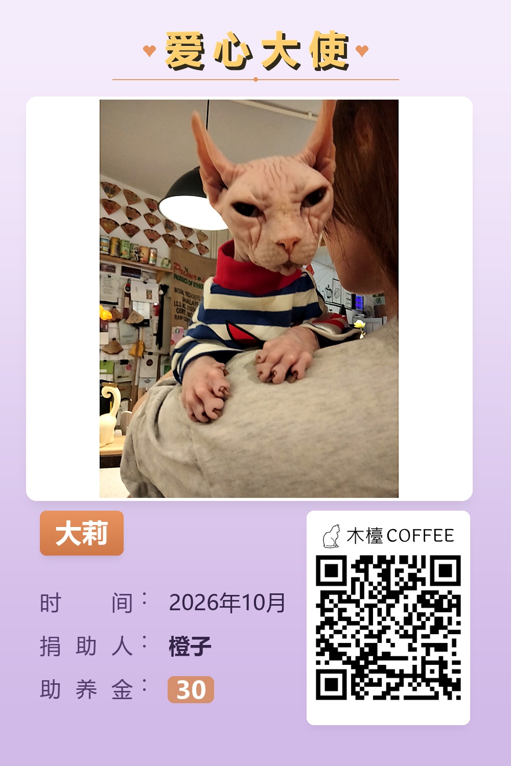 大莉 橙子