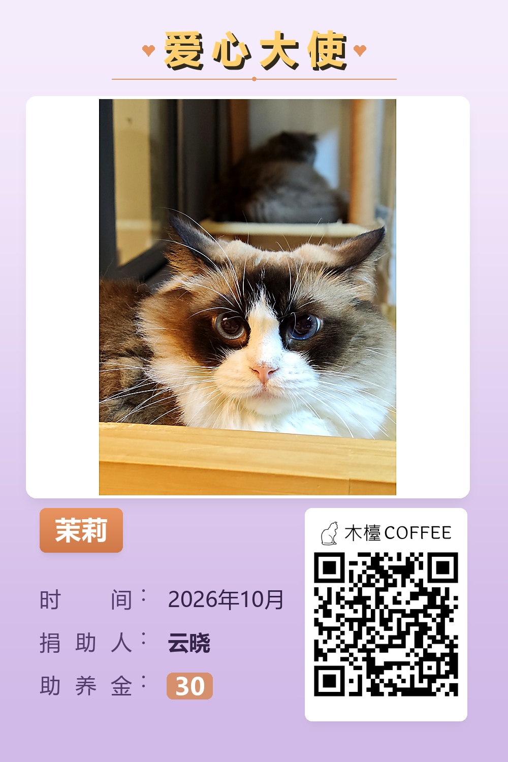 云晓