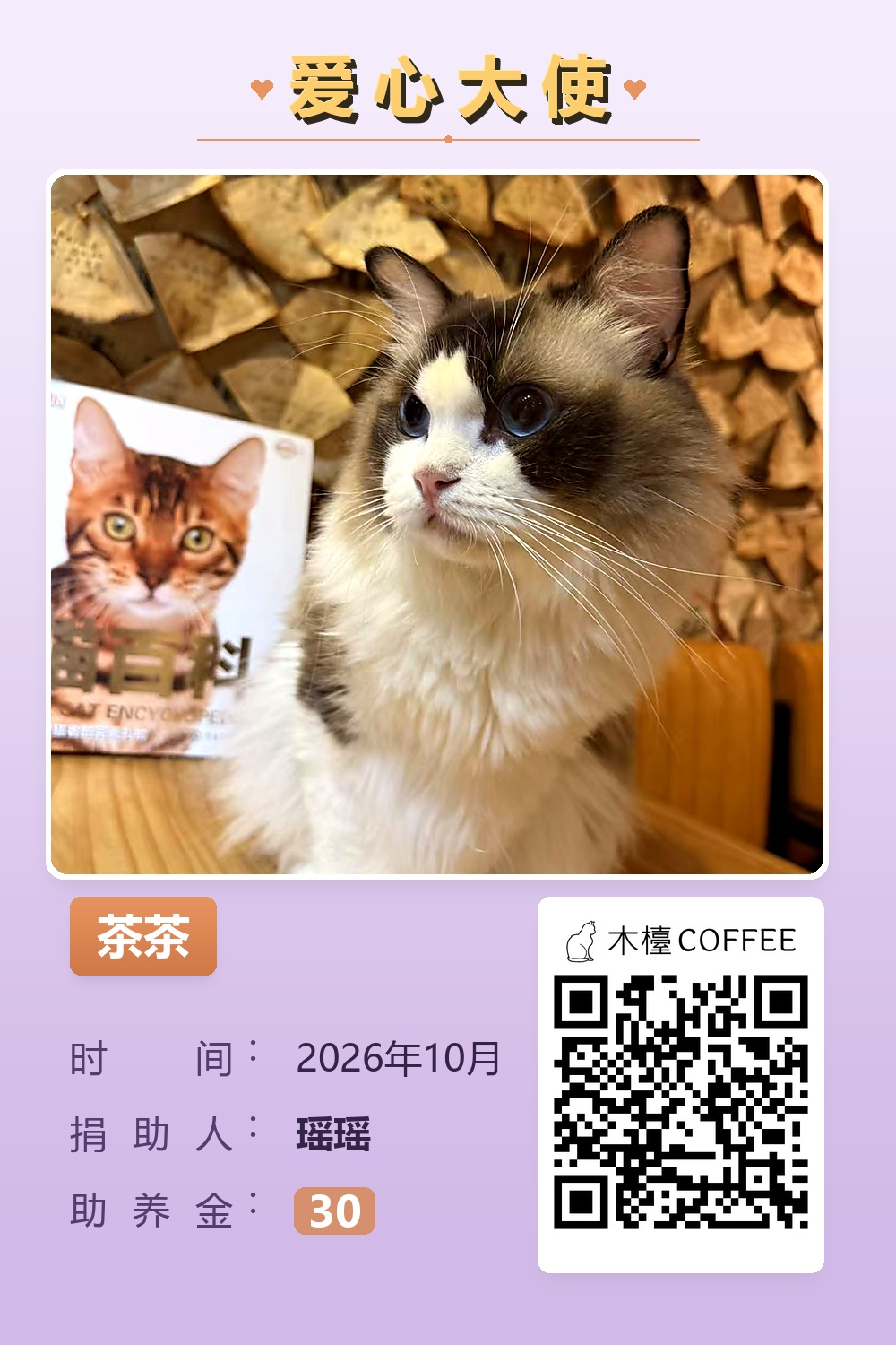 茶茶 瑶瑶