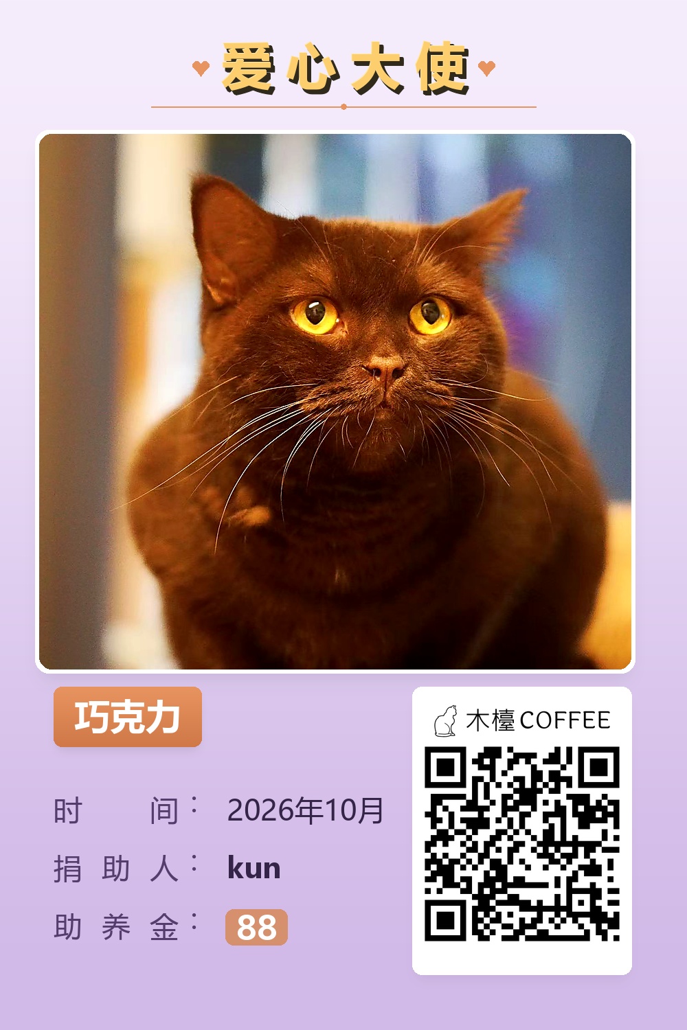 巧克力 kun