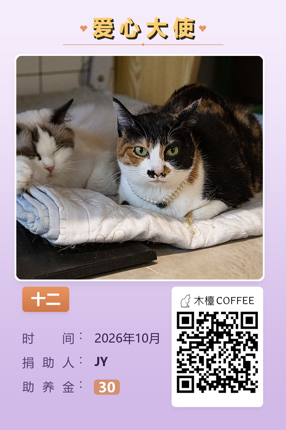 十二 JY