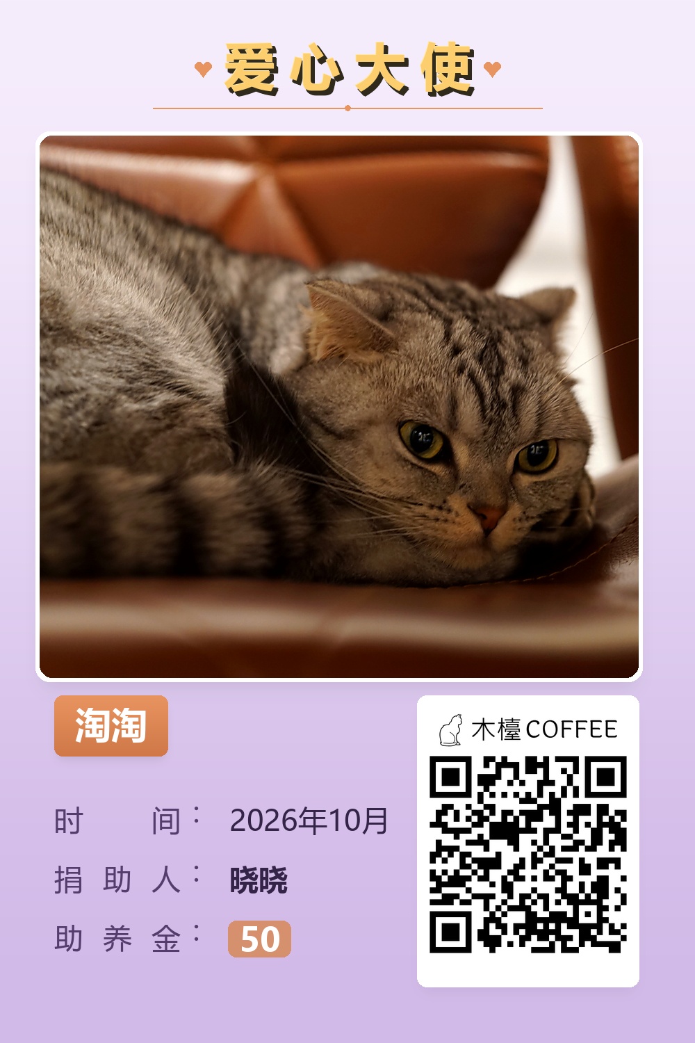 淘淘 晓晓